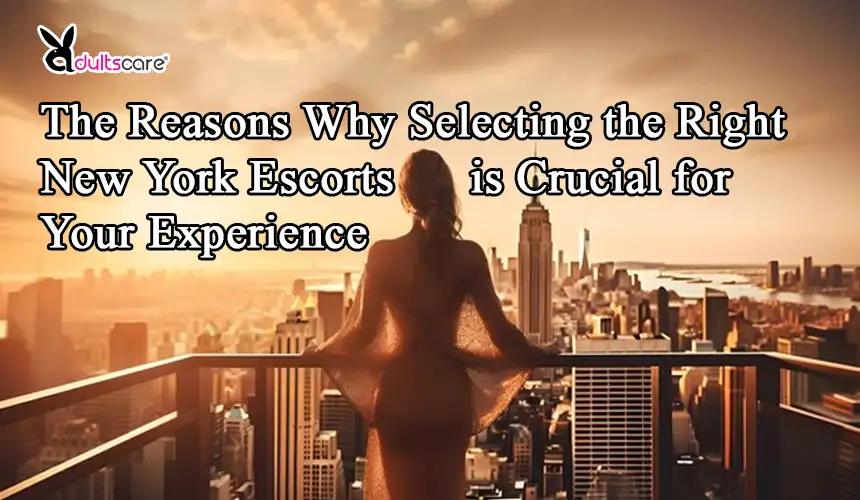 The Reasons Why Selecting the Right New York Escorts is Crucial for Your Experience
