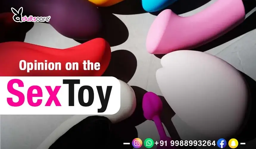 Opinion on the Sex Toy Lovense