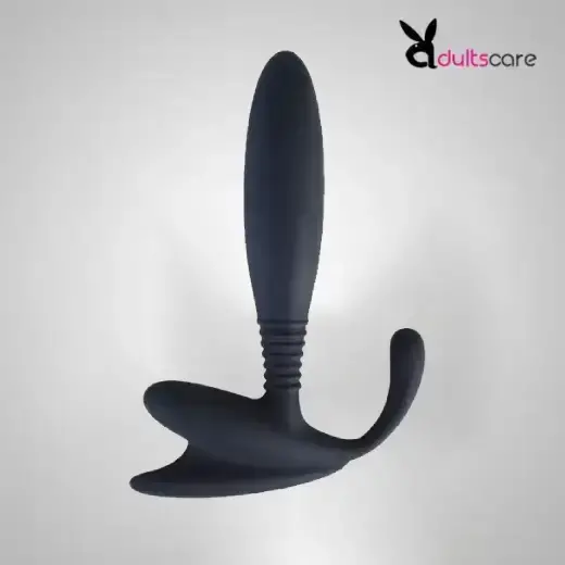 Anchor Prostate Massager