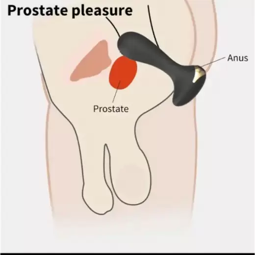 App Control 10 Speed Silicone Anal Plug