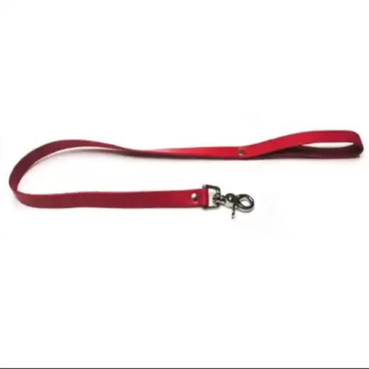 Collar with Leash Fetish BDSM Dog Slave