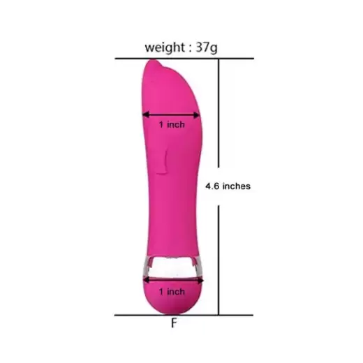 Pink Dolphin Mini Vibrator Massager