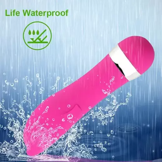 Pink Dolphin Mini Vibrator Massager