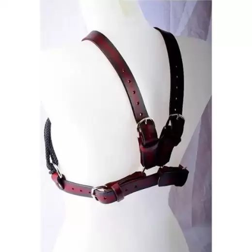 Rope and Leather Breast Binder