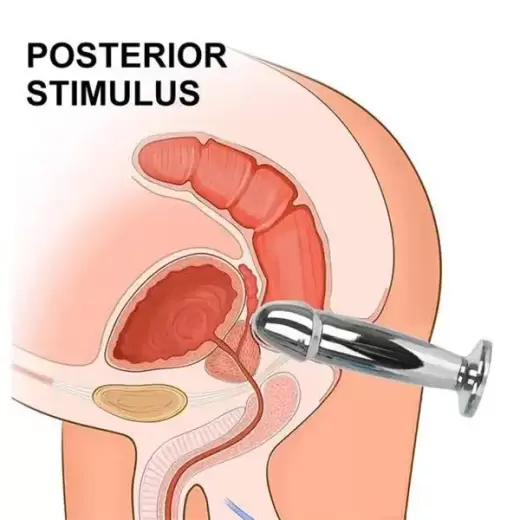 Stainless Steel Anal Vibrator For Prostate