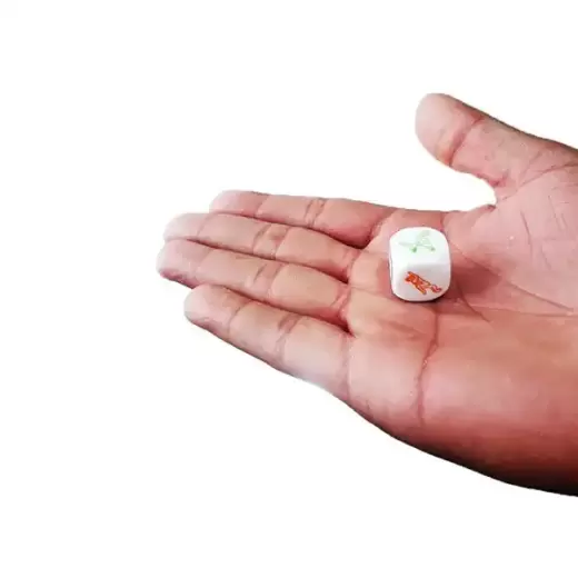 Sweetheart Sex Color Position Love Flirting Sex Dice