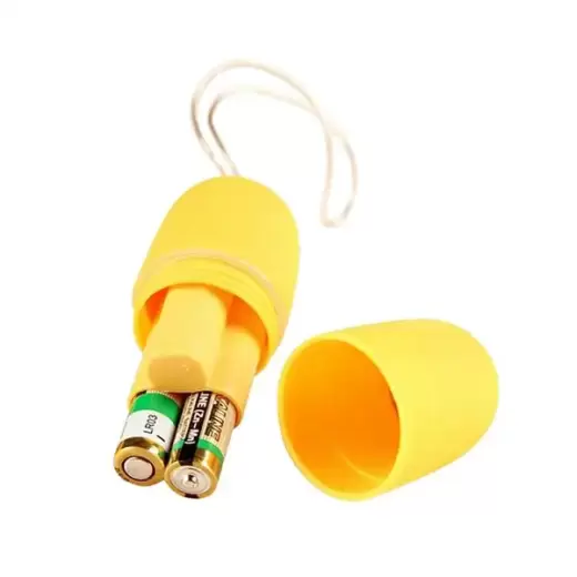 Wireless Remote Control Vibrating Egg