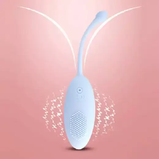 Wireless Remote Control Female Vibrating Eggs