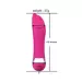 Pink Dolphin Mini Vibrator Massager