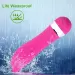 Pink Dolphin Mini Vibrator Massager