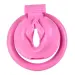Pussy Design Chastity Cage for Men